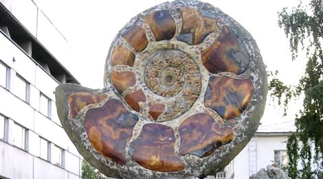 «73 сокровища земли Ульяновской. Удивительный камень – симбирцит»