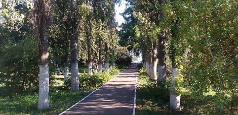 Этот дом с мезонином. Сад