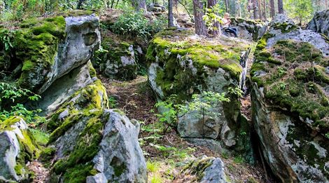 «73 сокровища земли Ульяновской. «Скрипинские Кучуры»»