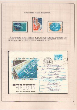 Эльдорадо Оплот Мира 18