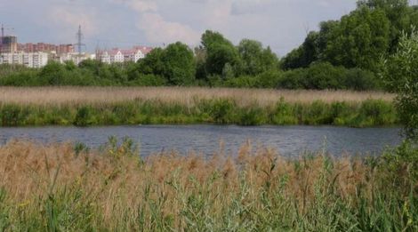 «73 сокровища земли Ульяновской. Экологический парк «Черное озеро»»