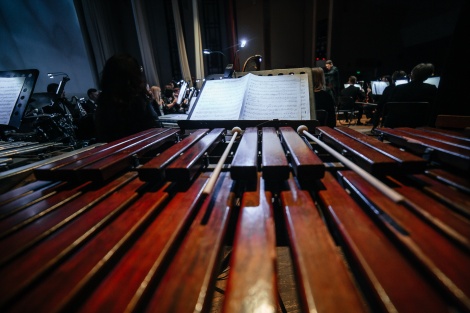 В Ульяновской области сотрудники медучреждений посетят концерты 60-го Международного музыкального фестиваля «Мир, Эпоха, Имена…»