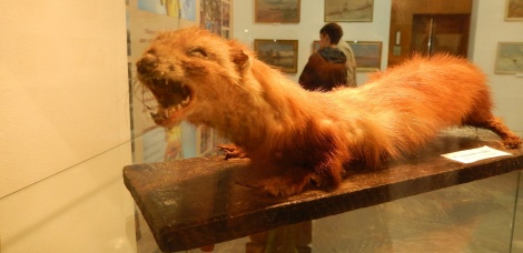 Выставка-презентация Сенгилеевского района открылась в Ленинском мемориале