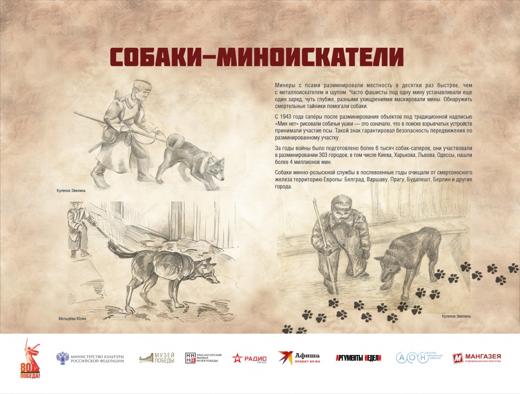 ЧГ11.jpg