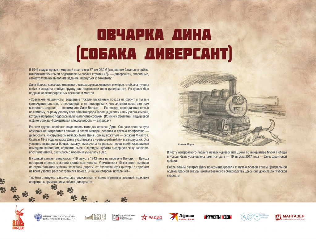 ЧГ16.jpg