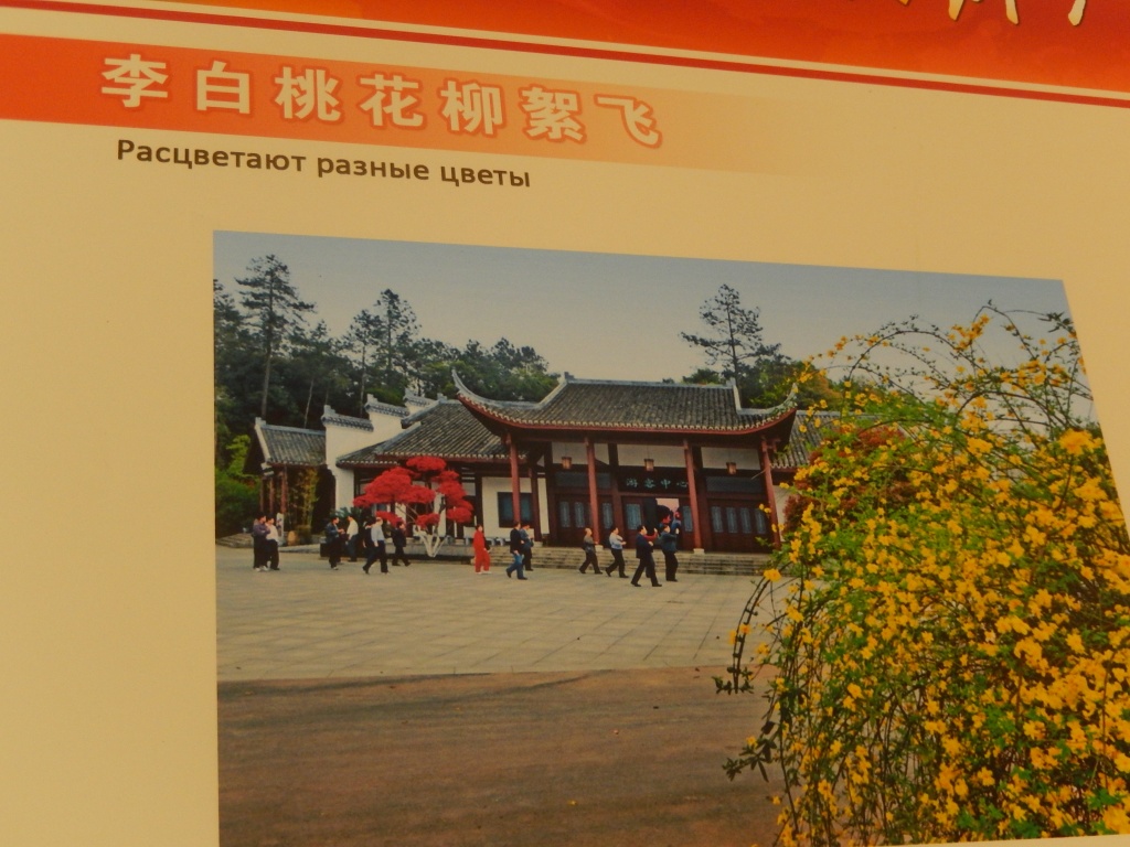 DSCN1384.JPG