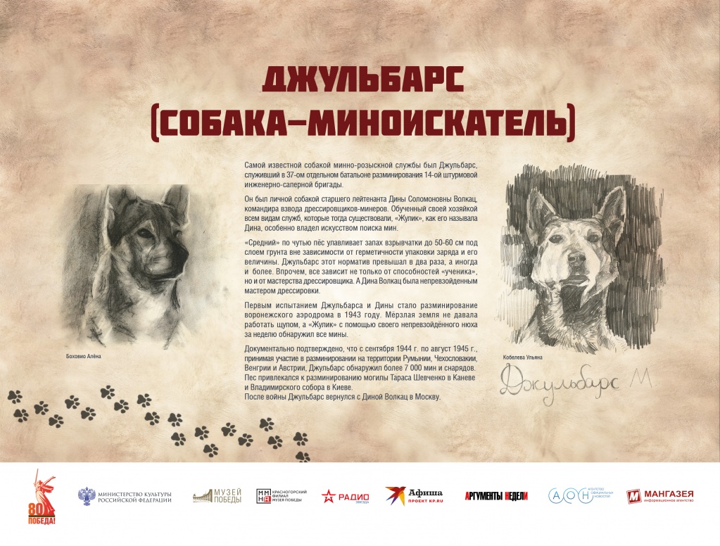 ЧГ12.jpg