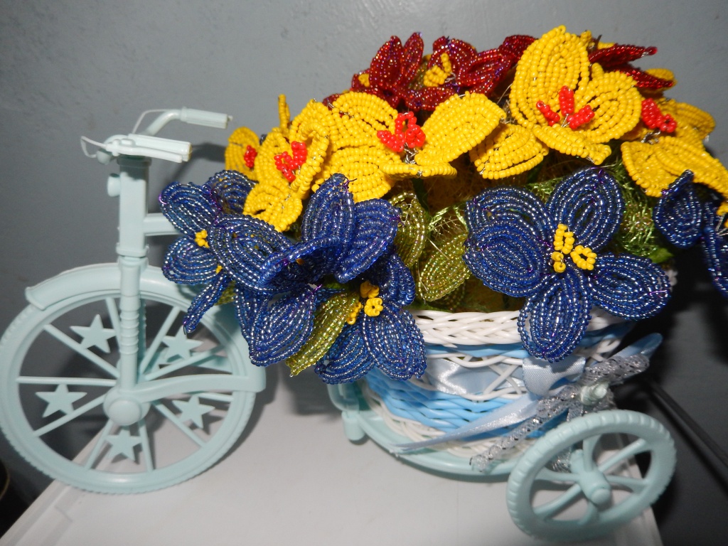 DSCN6228.JPG