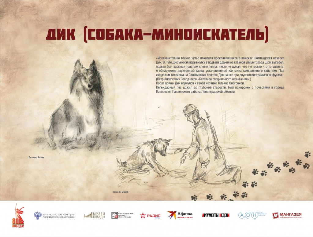ЧГ13.jpg