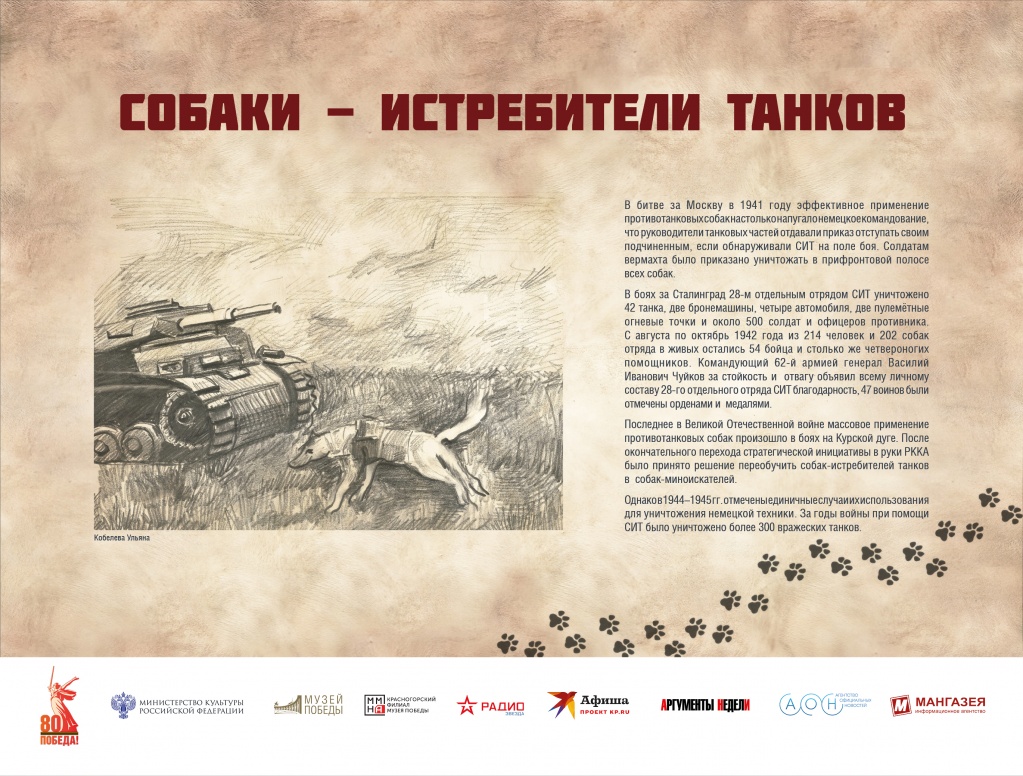 ЧГ7.jpg
