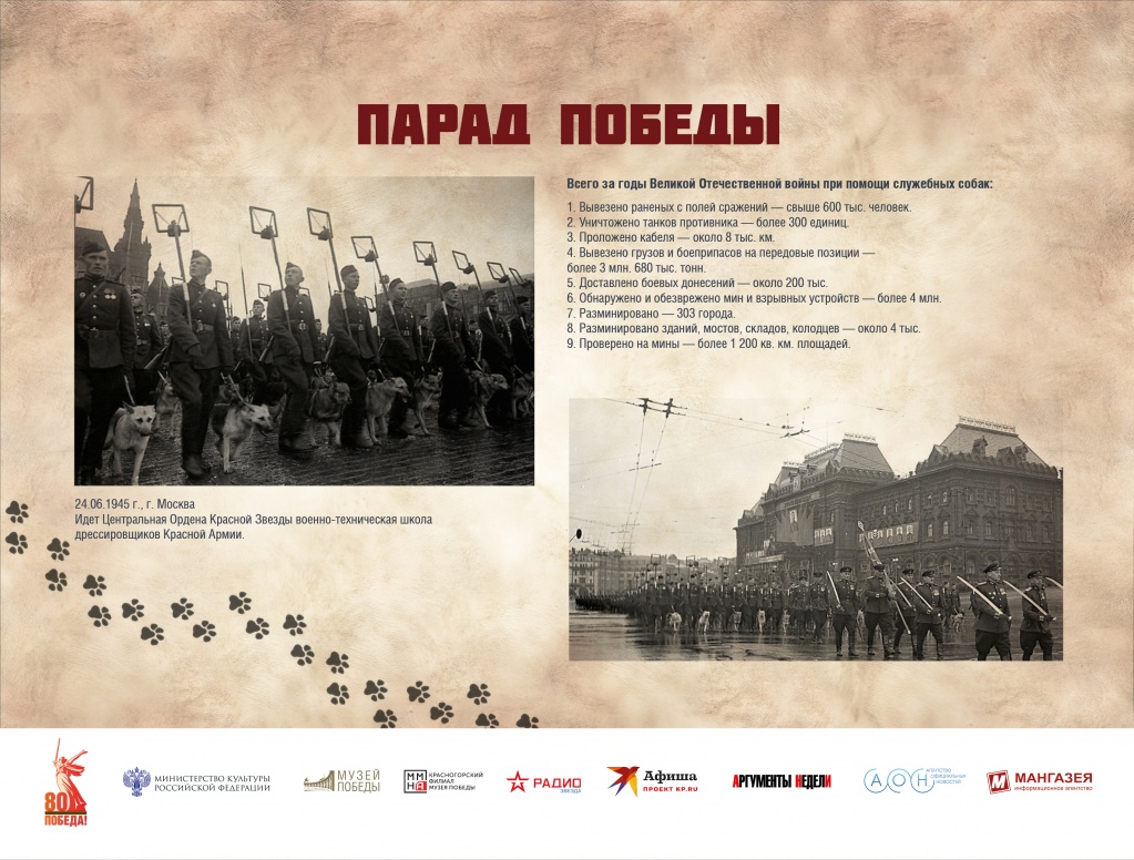 ЧГ20.jpg