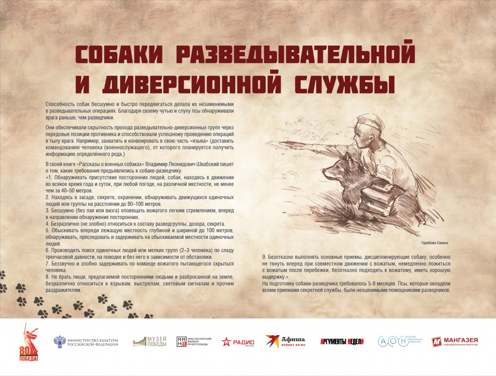 ЧГ14.jpg