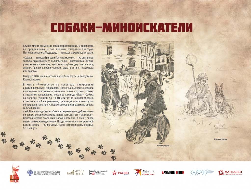 ЧГ10.jpg