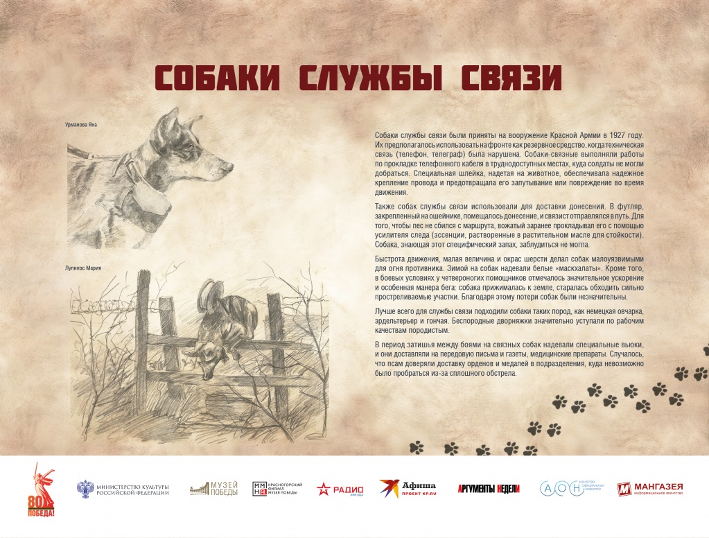 ЧГ3.jpg